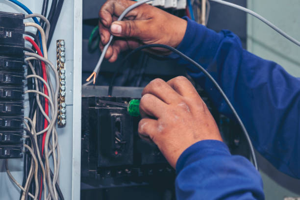 Best Electric Panel Repair  in Magnolia, AR